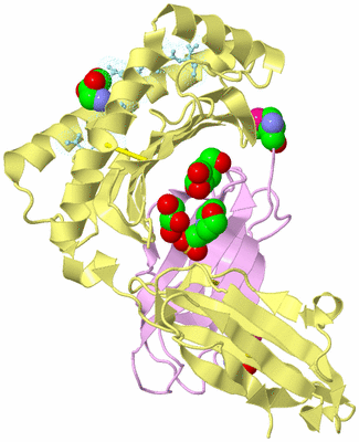 Image Biological Unit 1