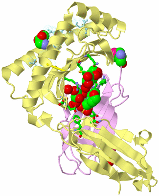 Image Biol. Unit 1 - sites