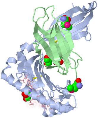 Image Biological Unit 2