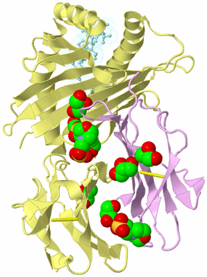 Image Biological Unit 1