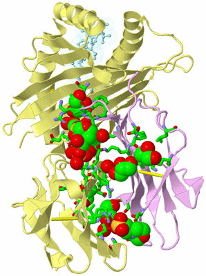 Image Biol. Unit 1 - sites