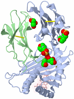 Image Biological Unit 2