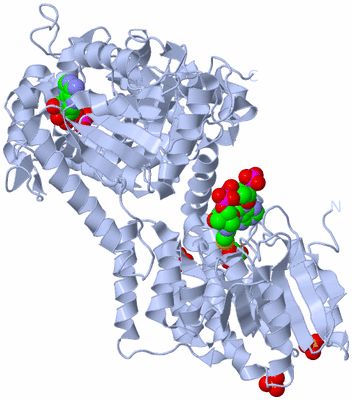 Image Biological Unit 1