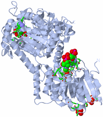 Image Biol. Unit 1 - sites