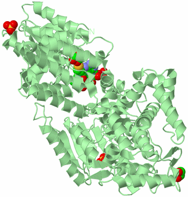 Image Biological Unit 2