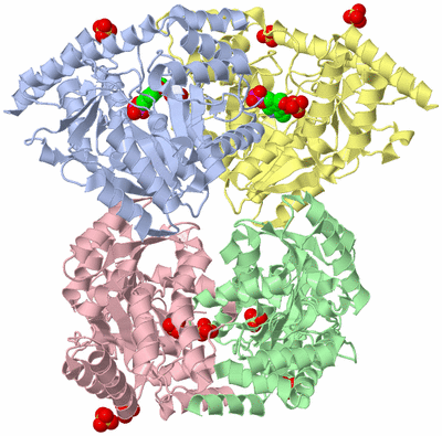 Image Asym./Biol. Unit