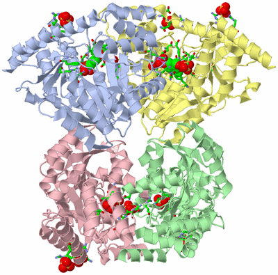 Image Asym./Biol. Unit - sites