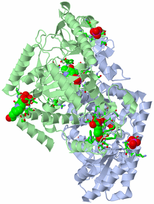 Image Asym./Biol. Unit - sites