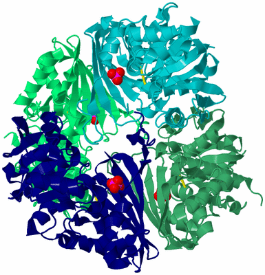 Image Asym./Biol. Unit