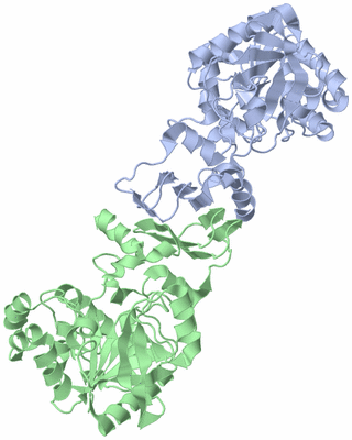 Image Asym./Biol. Unit