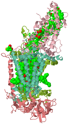 Image Asym./Biol. Unit - sites