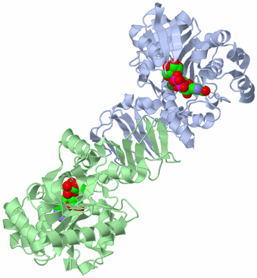 Image Asym./Biol. Unit