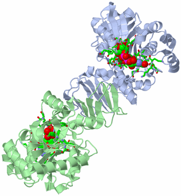 Image Asym./Biol. Unit - sites