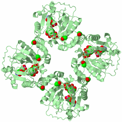 Image Biological Unit 2