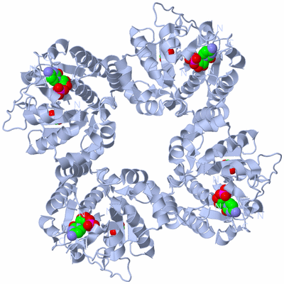 Image Biological Unit 1