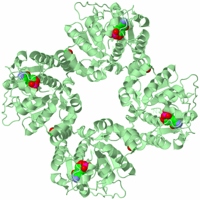 Image Biological Unit 2