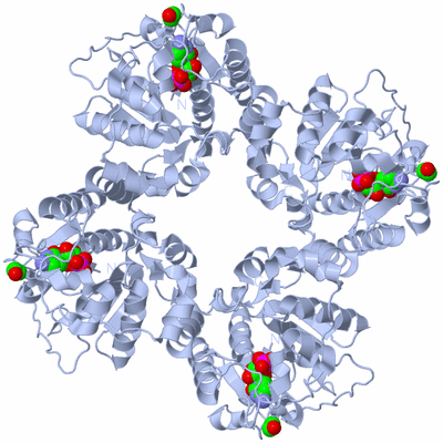 Image Biological Unit 1