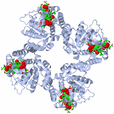 Image Biol. Unit 1 - sites