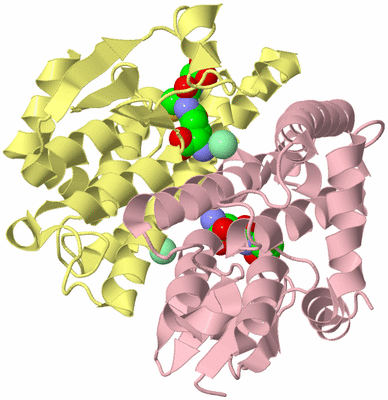 Image Biological Unit 1