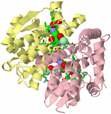 Image Biol. Unit 1 - sites