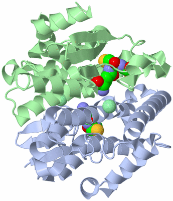 Image Biological Unit 2