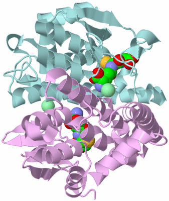 Image Biological Unit 3