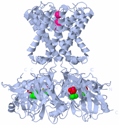 Image Biological Unit 1