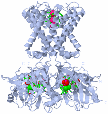 Image Biol. Unit 1 - sites