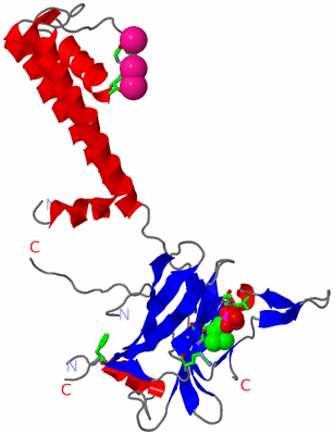 Image Asym. Unit - sites