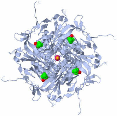 Image Biological Unit 1