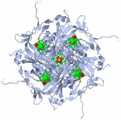 Image Biol. Unit 1 - sites