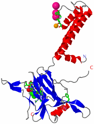 Image Asym. Unit - sites