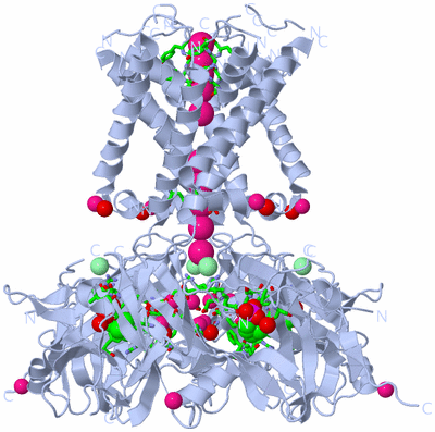 Image Biol. Unit 1 - sites