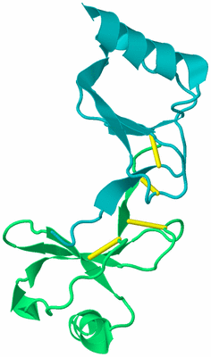 Image Biological Unit 3