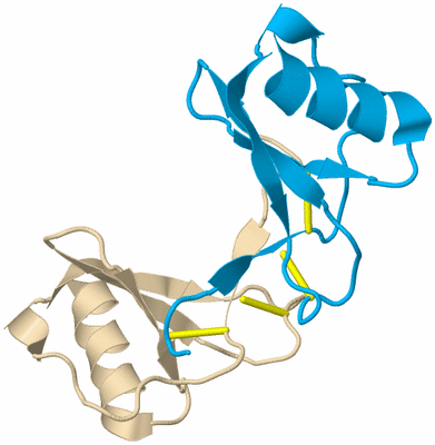 Image Biological Unit 5