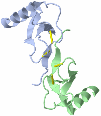 Image Biological Unit 6