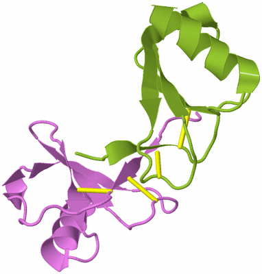 Image Biological Unit 8