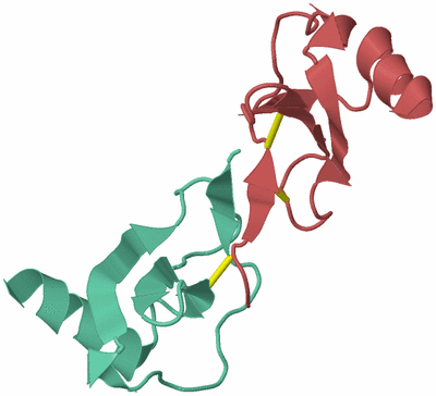 Image Biological Unit 9