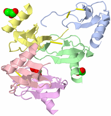 Image Asymmetric Unit