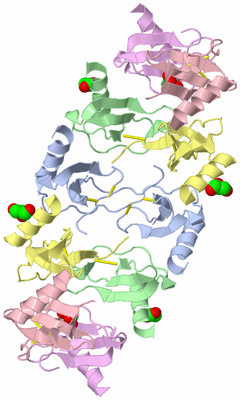 Image Biological Unit 1