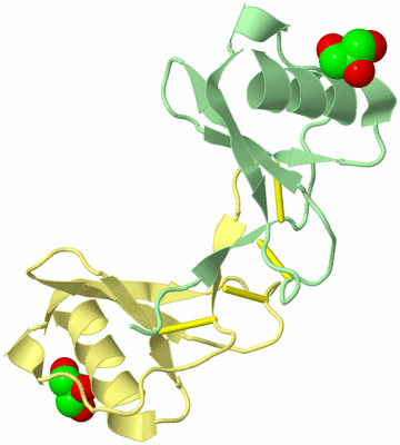 Image Biological Unit 3