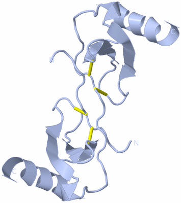 Image Biological Unit 4