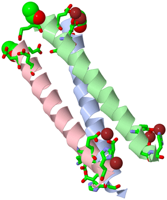 Image Asym./Biol. Unit - sites