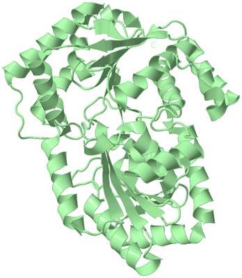 Image Biological Unit 2