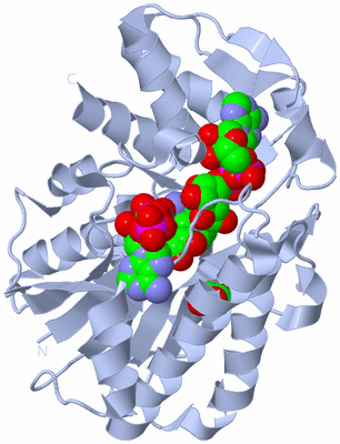 Image Biological Unit 1