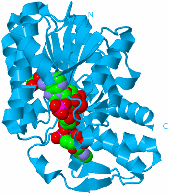 Image Biological Unit 10