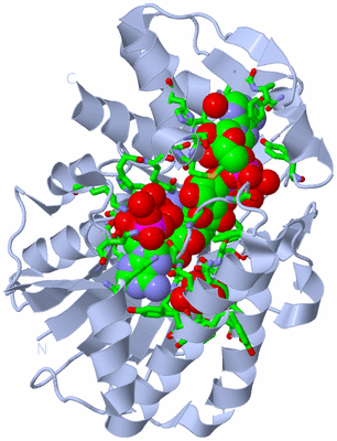 Image Biol. Unit 1 - sites