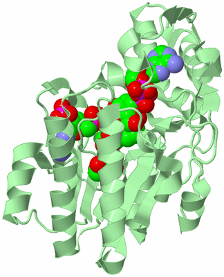 Image Biological Unit 2