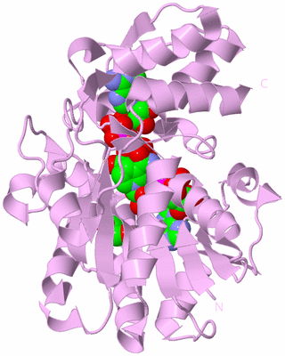 Image Biological Unit 5