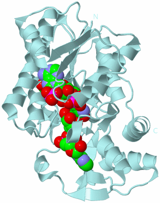 Image Biological Unit 6